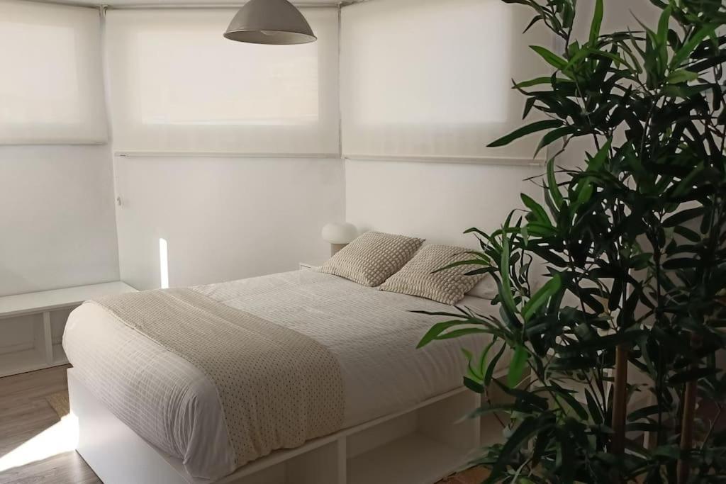 Salitre Malaga Center Apartment Exterior foto